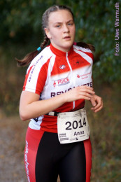 Jugend und Jedermann light